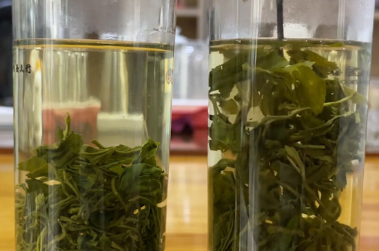 茶叶种类及十大名茶有哪些？-第6张-茶叶知识-凤凰单丛茶网
