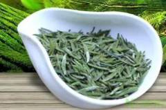 紫阳毛尖茶的功效是什么？