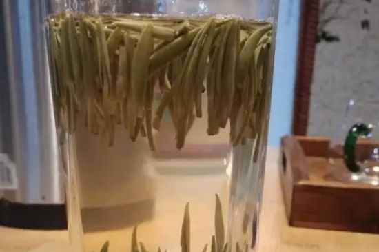武阳春雨茶是红茶还是绿武阳春雨属于什么茶？-第3张-武阳春雨茶-凤凰单丛茶网