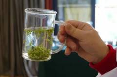 武阳春雨茶是红茶还是绿武阳春雨属于什么茶？
