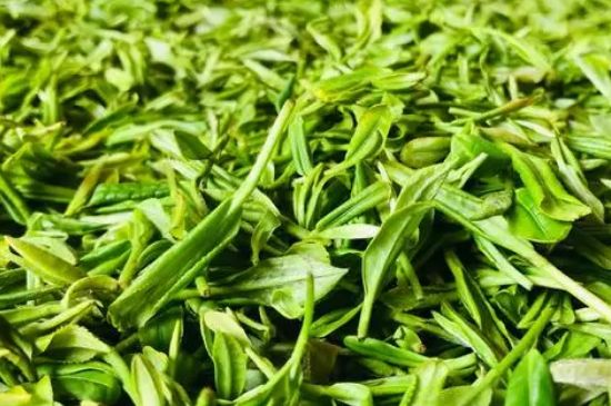 春雨茶只能早上喝吗_一天当中三个喝茶最佳时间-第3张-武阳春雨茶-凤凰单丛茶网