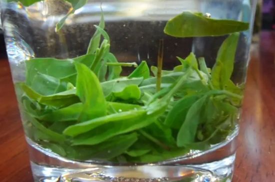 春雨茶只能早上喝吗_一天当中三个喝茶最佳时间-第2张-武阳春雨茶-凤凰单丛茶网