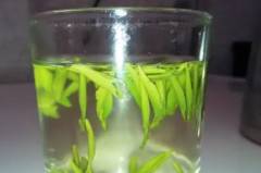 春雨茶的功效_武阳春雨茶有什么功效？