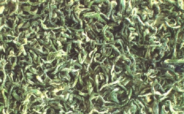 南岳云雾属于什么茶？南岳云雾茶的产地与特点-第1张-南岳云雾茶-凤凰单丛茶网