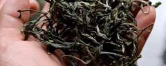 昔归茶有哪些？特点是什么？