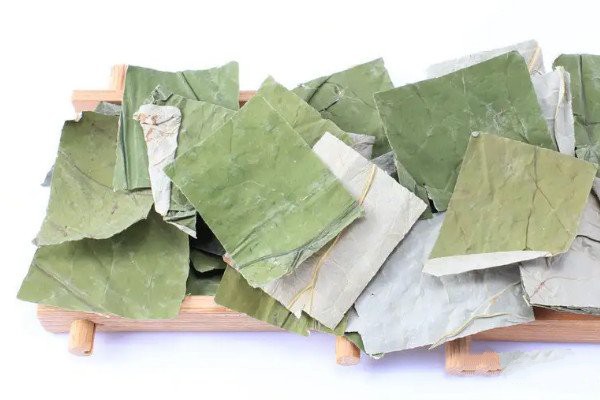 荷叶茶怎么制作方法_荷叶茶的制作方法(简单小窍门)-第2张-荷叶茶-凤凰单丛茶网