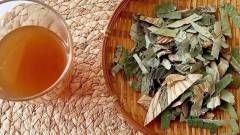 荷叶茶的副作用？