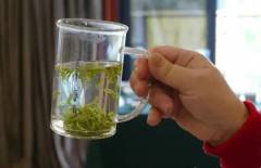 武阳春雨茶是红茶还是绿茶？