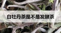 白牡丹茶是不是发酵茶？