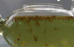 桂花茶加蜂蜜的功效与作用有什么？