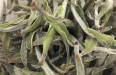 白牡丹茶多少钱一斤？