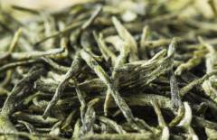 毛尖茶冲泡方法？