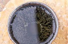 建盏喝茶的好处？