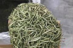 兰妃茶属于什么茶_兰妃茶是花茶吗(兰韵丰富的花茶)